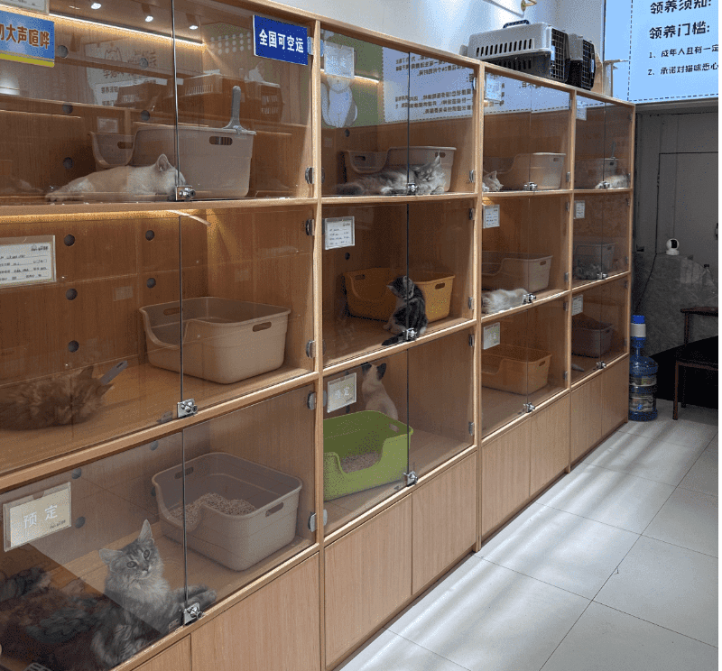 猫小圣门店