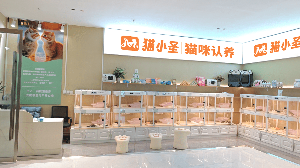 猫小圣桐乡吾悦广场店