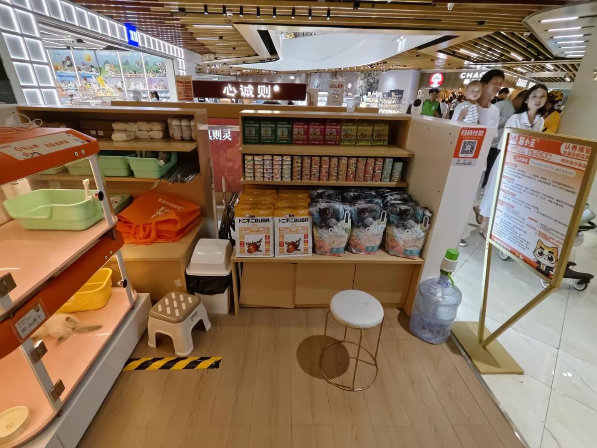 猫小圣龙湖金沙天街店