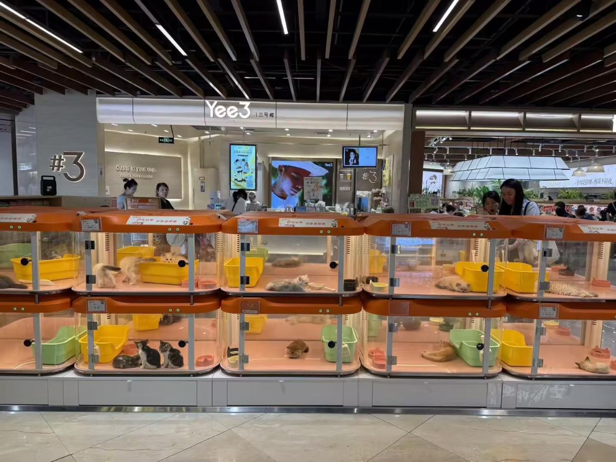 杭州金沙店
