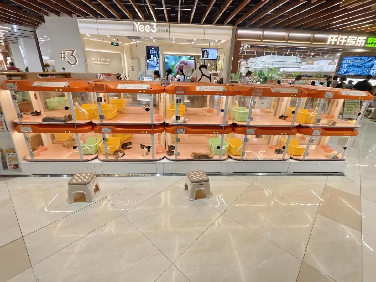 杭州金沙店