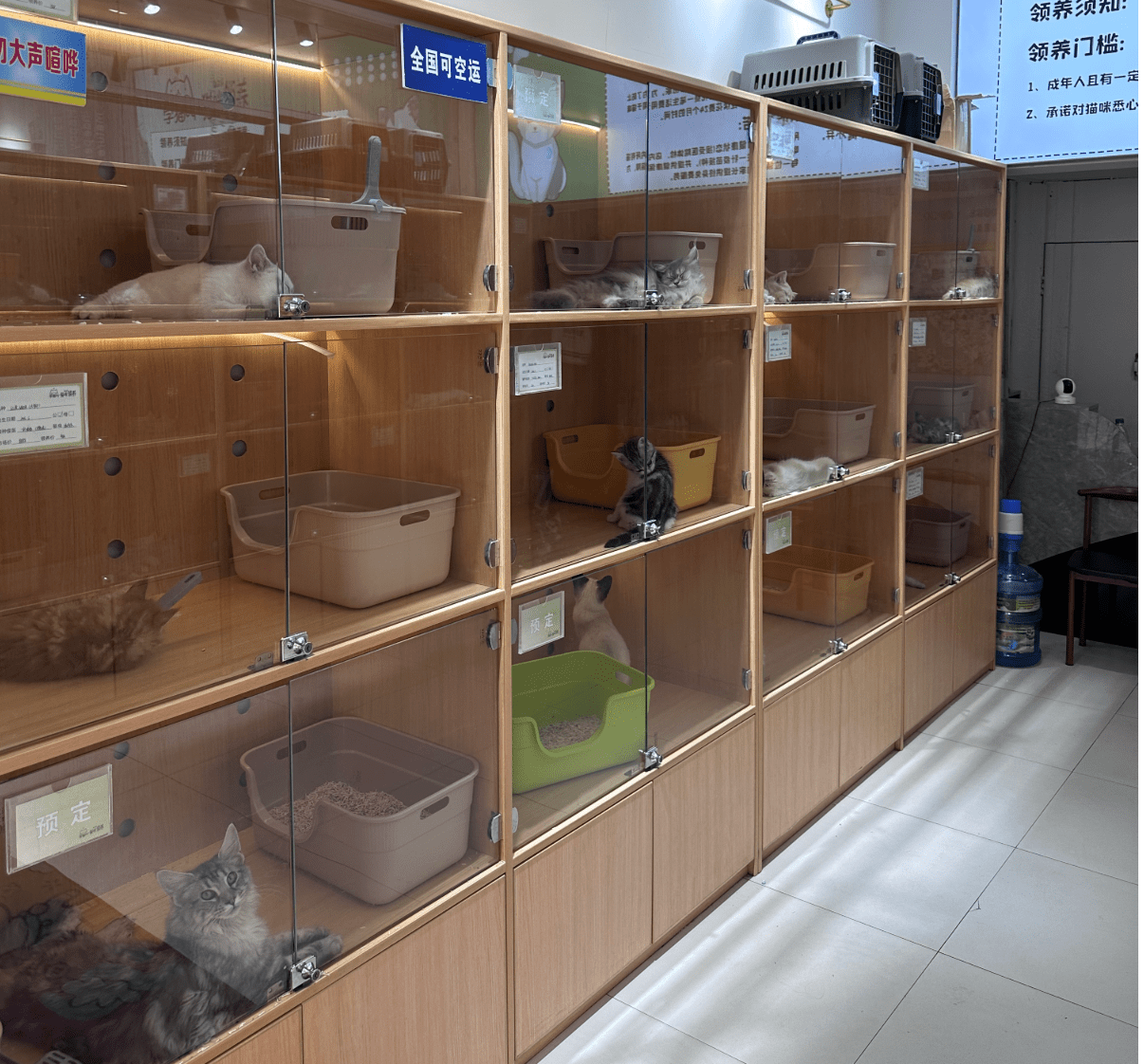 猫小圣苏州观前街店
